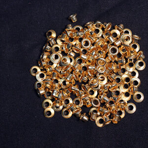 ELECTROPHORETIC LACQUER